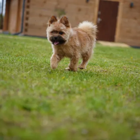Silent Hill In Probark Mrągowo