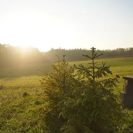 Silent Hill In Probark Feriehus Mrągowo