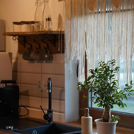 Silent Hill In Probark *