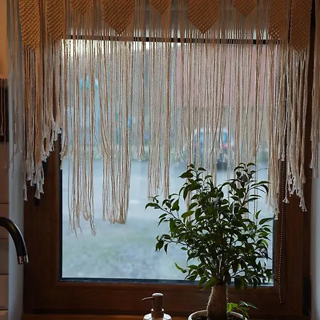 Silent Hill In Probark *