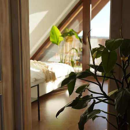 Silent Hill In Probark