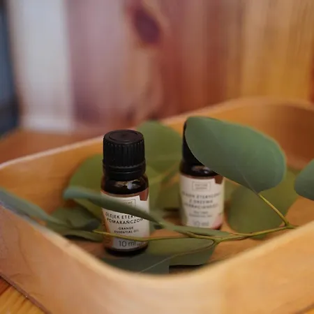 Silent Hill In Probark Feriehus