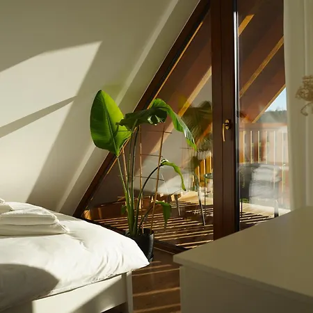 Silent Hill In Probark Mrągowo