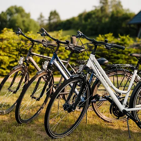 Semesterbostad Silent Hill In Probark