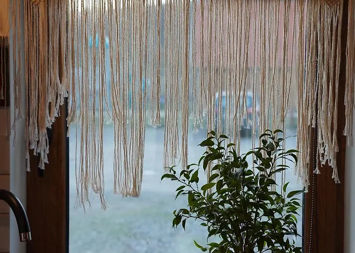 Silent Hill In Probark *