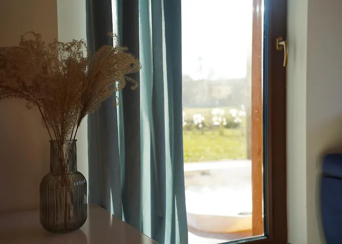 Silent Hill In Probark *