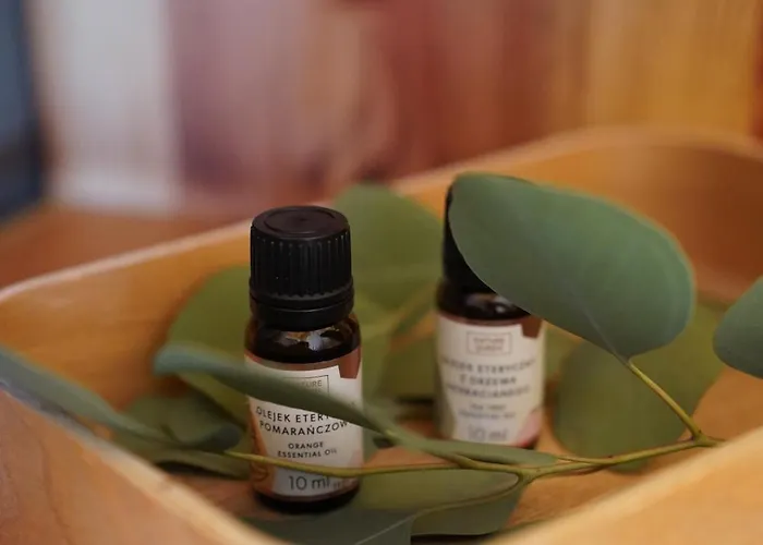 Silent Hill In Probark Dom wakacyjny