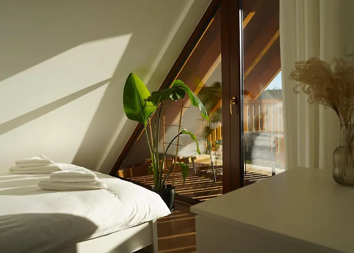 Silent Hill In Probark Mrągowo